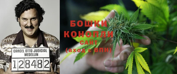 шишки Волгодонск